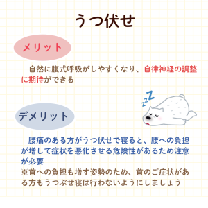 投稿画像 (33)