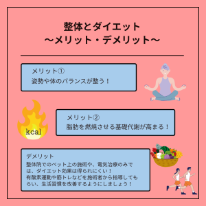 整体とダイエット②(11.11)